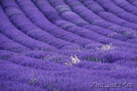 要替别人着想，但为自己而活 (1)