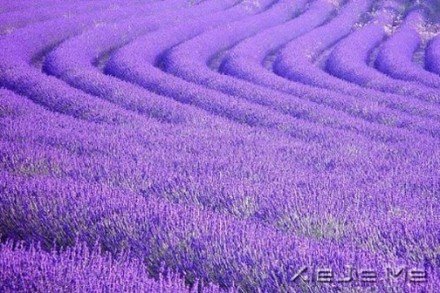 要替别人着想，但为自己而活 (9)
